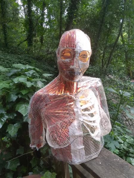 Clara But See Through