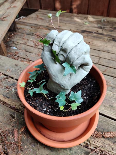 Plants